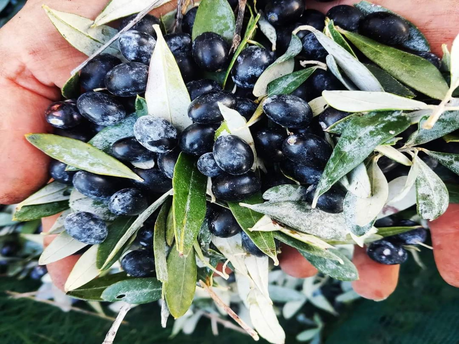 PHOTO 2025 04 28 12 36 46