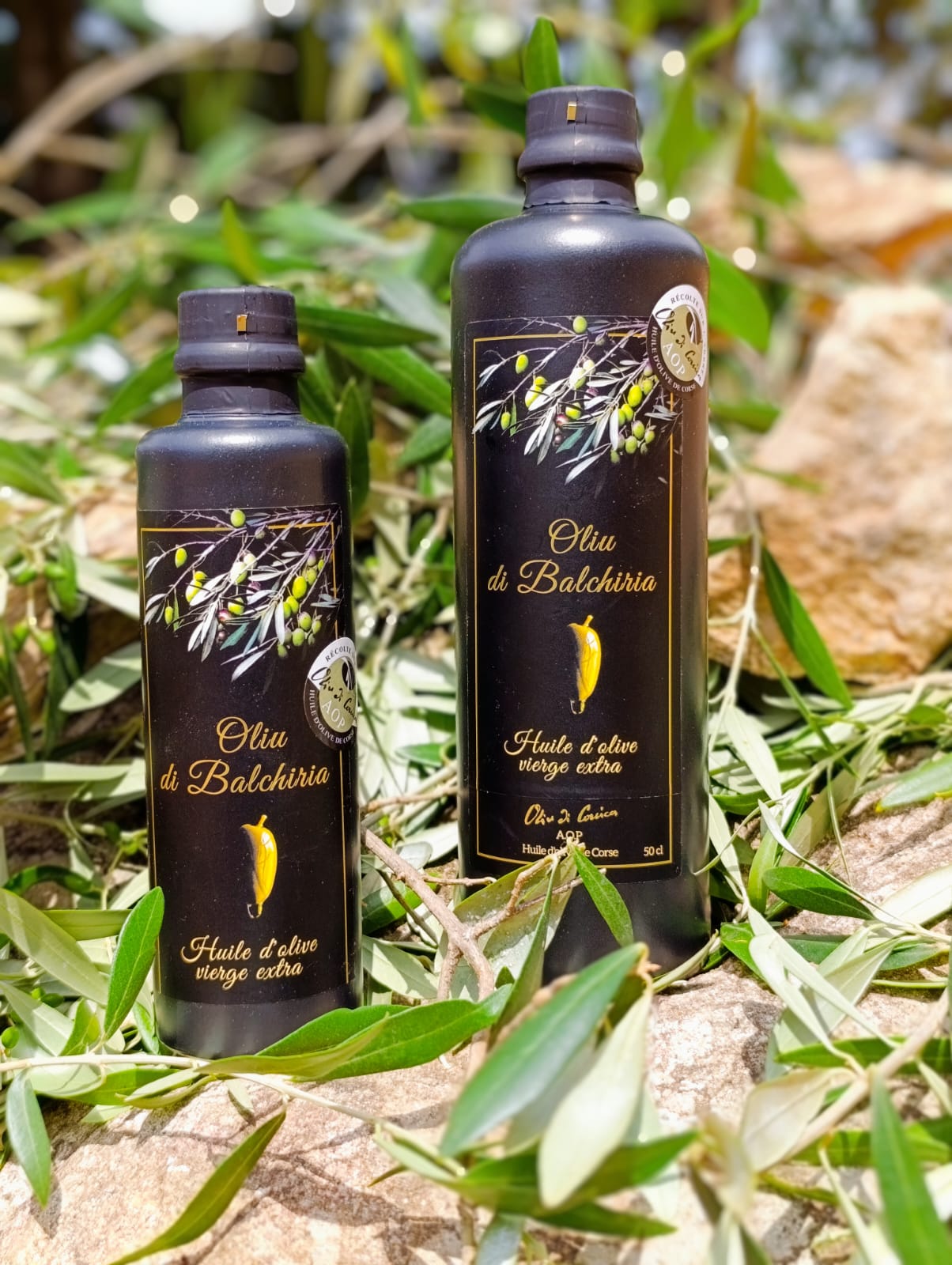 59e1f55b 8957 4c92 8b4d ad878e8c197b